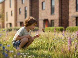 Child looking at flowers